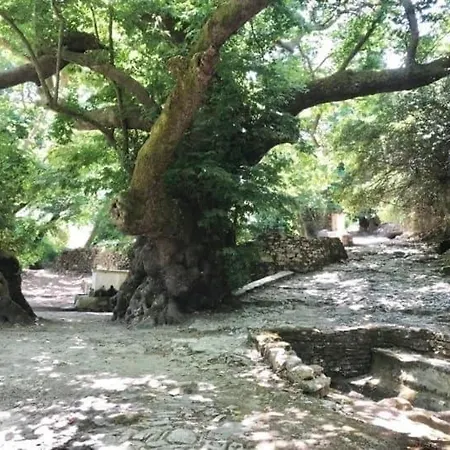 Thomas View * Aryiroúpolis