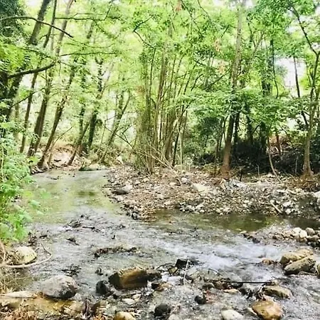 게스트하우스 Thomas View Aryiroúpolis