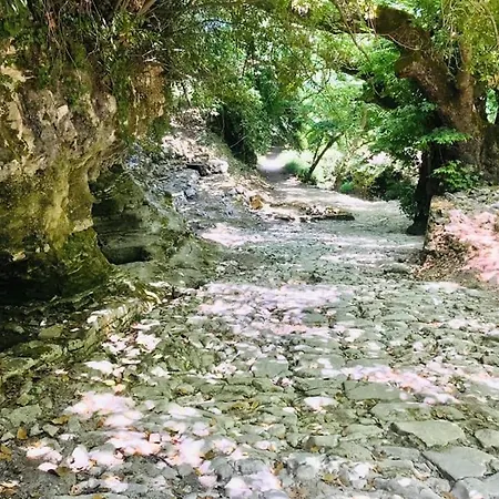 Vendégház Thomas View *
